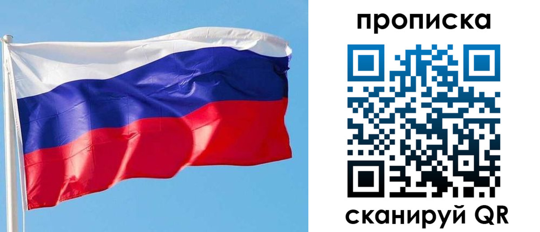 прописка поиск в Ефремове